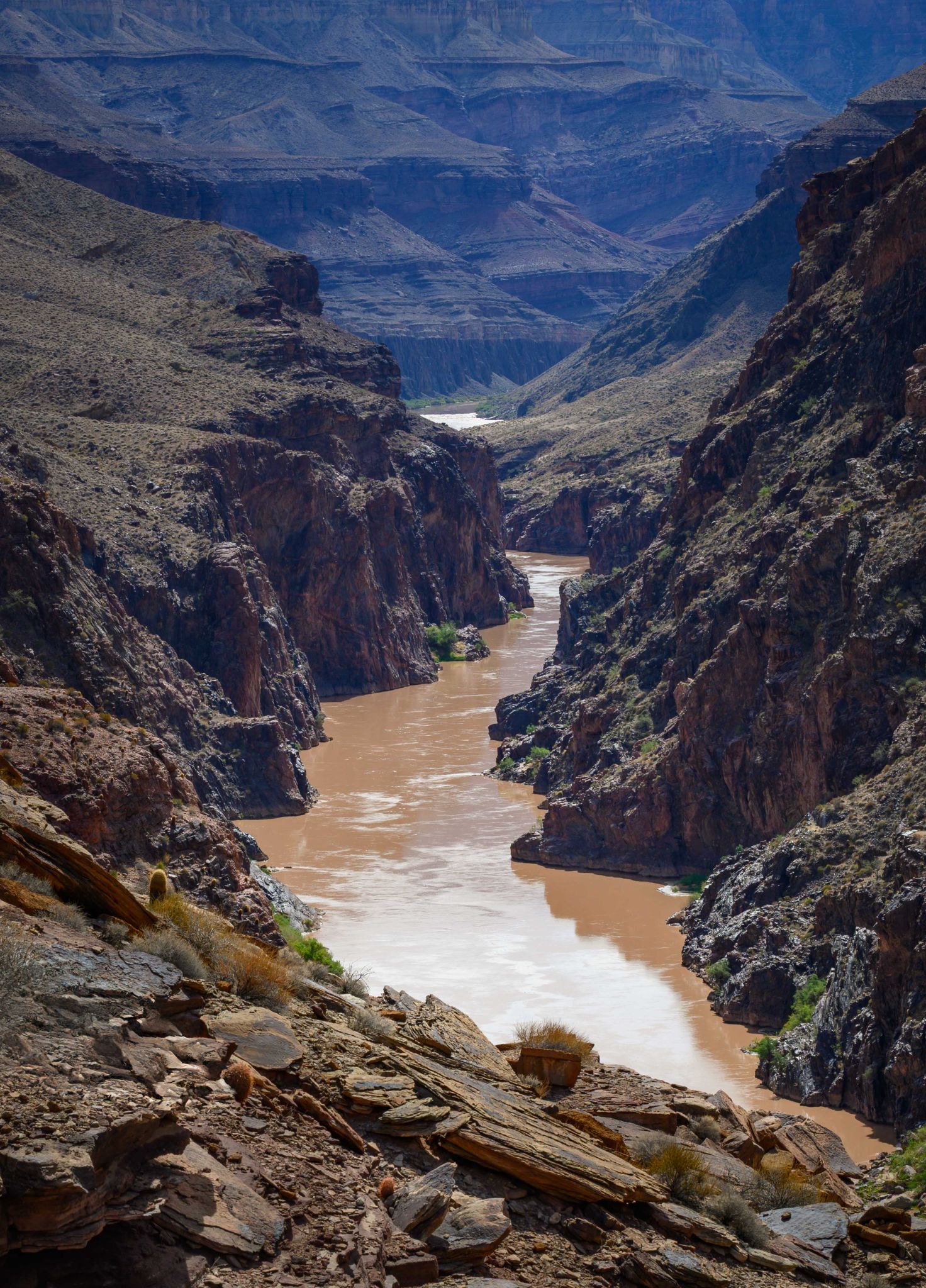 Grand Canyon Fine Art (17 of 23)